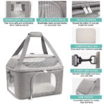 Pet Backpack Breathable Carrier Bag Travel Airline Approved - Image 4