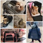Pet Carrier Bag Portable Dog Backpack With Mesh Window Airline Approved - Image 6