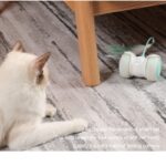 Smart Electronic Cat Toy Interactive Automatic Running LED With Ball And Stick Feather Intelligent Remote Control - Image 3