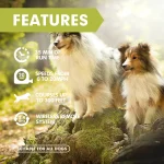 Dog Lure Course Machine Interactive Chasing Toy Dog Training Agility Equipment - Image 5