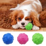 Dog Toy Bone Head Ball Teeth Grinding Stick Dog Bite - Image 2