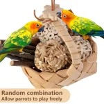 Bird Toys, with Storage Basket, Ball Toys, Branches for Parrots, Parakeets - Image 5
