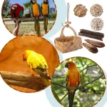 Bird Toys, with Storage Basket, Ball Toys, Branches for Parrots, Parakeets - Image 4