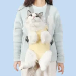 Pet Travel Carrier Backpack, Legs Out