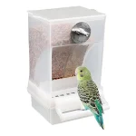 Easy Clean Automatic Bird and Parrot Feeder,