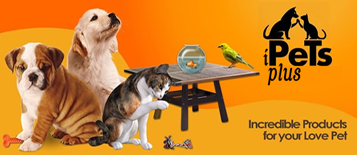 Header IpetPlus